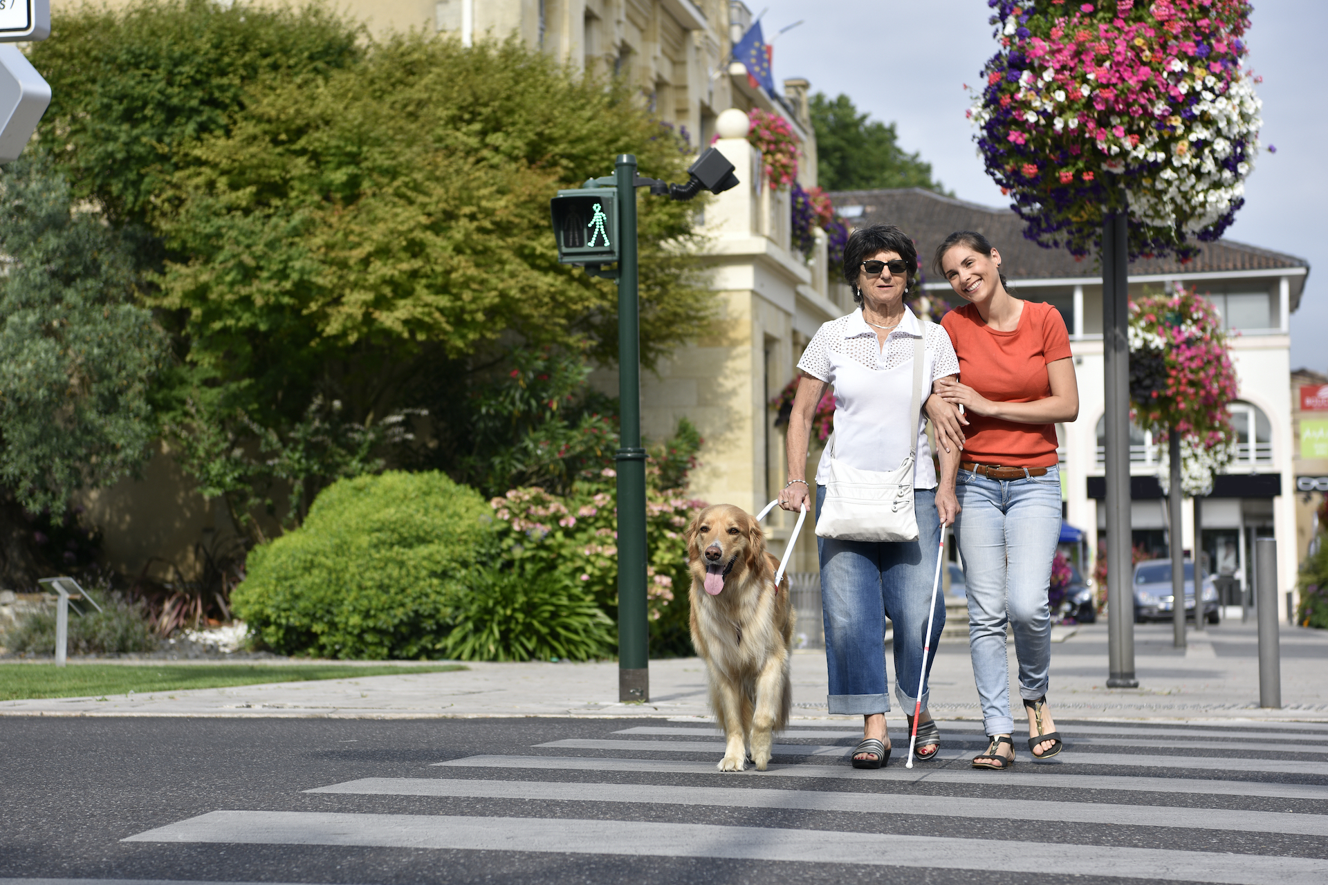 Friends crossing the street; one walks with a white cane and a guide dog